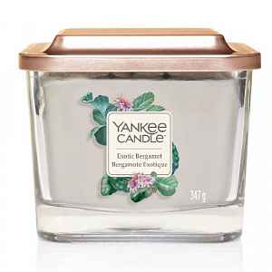 Yankee Candle Elevation Exotic Bergamot vonná svíčka střední 347 g