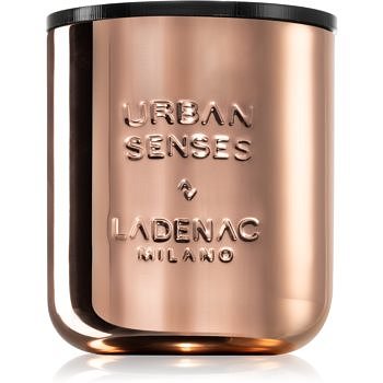 Ladenac Urban Senses Eau De Cypress vonná svíčka 500 g