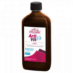 NOMAAD ArtiVit Sirup 500 ml