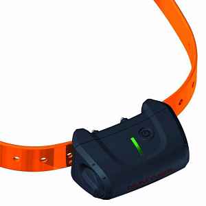 Kryt baterie pro Canicom 5 | P43923