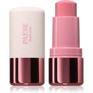Paese Butter Blend Blush Stick tvářenka v tyčince odstín 05 Pink 6 g
