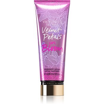 Victoria's Secret Velvet Petals In Bloom tělové mléko pro ženy 236 ml