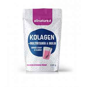 Allnature Kolagen Multiv.+inulin Př.mal.+cit.110g