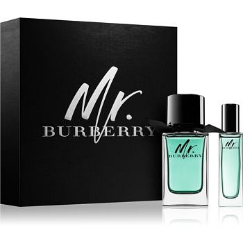 Burberry Mr. Burberry dárková sada II.  toaletní voda 100 ml + toaletní voda 30 ml