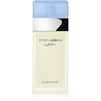 Dolce & Gabbana Light Blue toaletní voda pro ženy 25 ml