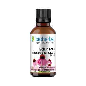 Echinacea kapky – tinktura – 50 ml – Bioherba