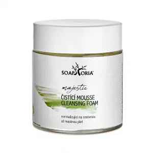 Osvěžující & normalizující čistící mousse na smíšenou až mastnou pleť