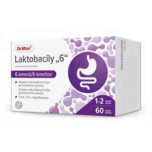 Dr.Max Laktobacily 6 60 kapslí