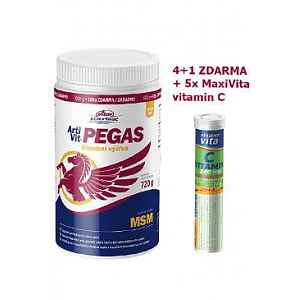 VITAR Veterinae ArtiVit Pegas MSM 720g