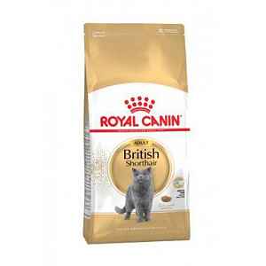 Royal Canin BRITISH SHORTHAIR CAT (>12m) 2kg