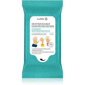 Luba Antibacterial Wet Wipes vlhčené čisticí ubrousky na ruce 15 ks