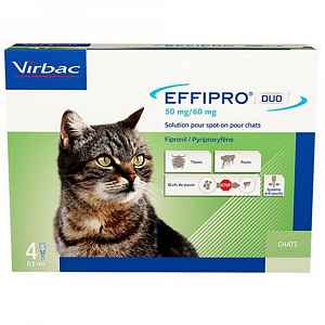 Effipro Duo Cat 50/60 mg spot-on 4 x 0.5 ml