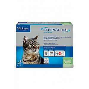 Effipro Duo Cat 50/60 mg spot-on 4 x 0.5 ml