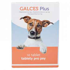 GALCES Plus 10 tablet