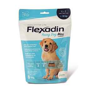Flexadin Young Dog Maxi Tbl.60