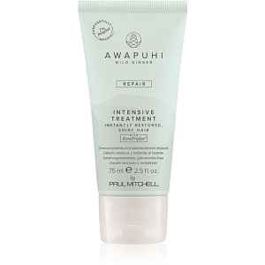 Paul Mitchell Awapuhi Wild Ginger Repair Intevsive Treatment intenzivní vlasová kúra pro poškozené vlasy 75 ml