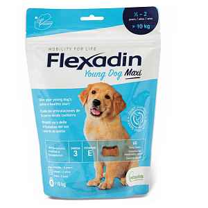 FLEXADIN Young Dog Maxi 60 žvýkacích tablet
