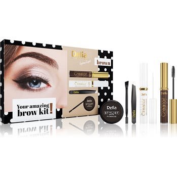 Delia Cosmetics Eyebrow Expert Brown kosmetická sada V. (na obočí)