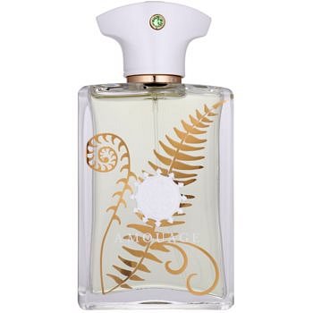 Amouage Bracken parfémovaná voda pro muže 100 ml