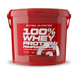 Scitec Nutrition 100% WP Professional 4000 g chocolate hazelnut