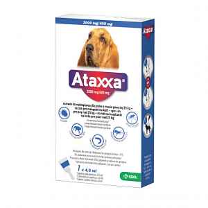 ATAXXA Spot On Dog XL