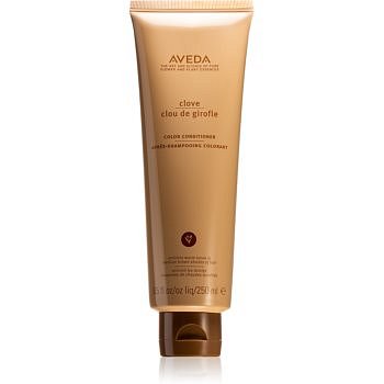 Aveda Clove kondicionér pro barvené vlasy  250 ml