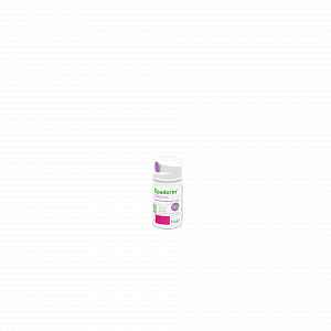 Epaderm Cream 50g