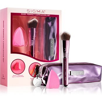 Sigma Beauty 3DHD® Perfect Complexion Set sada štětců s pouzdrem