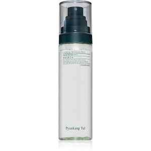 Pyunkang Yul Calming Moisture Mist intenzivní zklidňující mlha pro citlivou a suchou pleť 100 ml