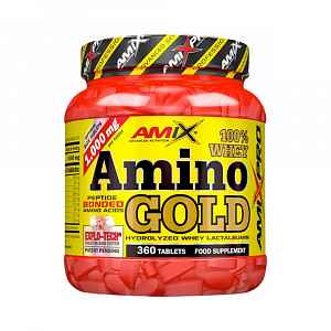 Whey Amino Gold 360 tablet