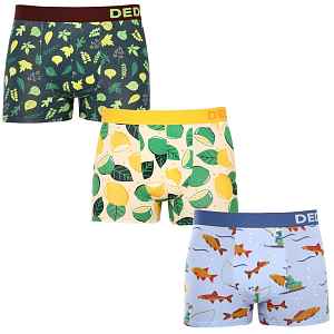 Dedoles 3PACK Veselé pánské boxerky (19813751563) L