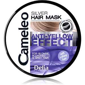 Delia Cosmetics Cameleo Silver maska na vlasy neutralizující žluté tóny 200 ml