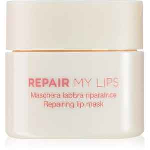 Diego dalla Palma REPAIR MY LIPS hydratační maska na rty 25 ml