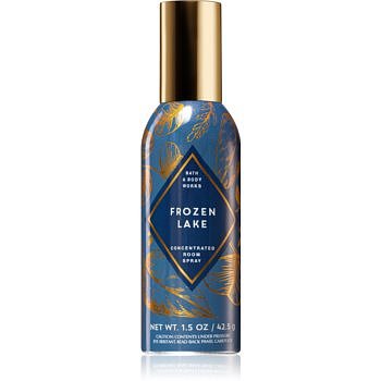 Bath & Body Works Frozen Lake bytový sprej 42,5 g