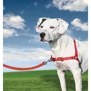 Easy Walk™ Harness - malinová - L | P5792