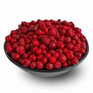 Lyopotraviny Brusinky lesní lyofilizované (sušeno mrazem), 100 g
