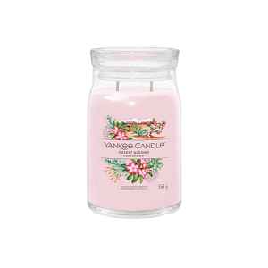 Yankee Candle vonná svíčka Desert Blooms 567g