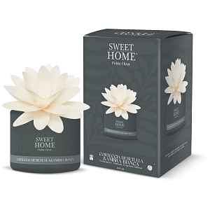 Sweet Home Collection Aroma difuzér Birch Bark & White Amber 200 ml