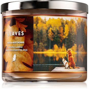 Bath & Body Works Leaves vonná svíčka IV. 411 g