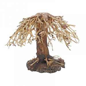 Dupla Weeping Willow 2 -Přírodní dřevěná dekorace do sladkovodního akvária 22x