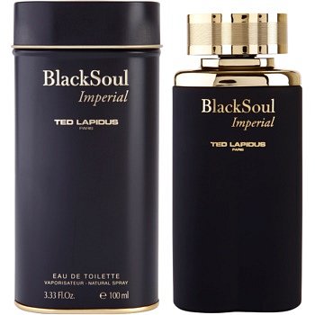 Ted Lapidus Black Soul Imperial toaletní voda pro muže 100 ml