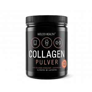 WoldoHealth 100% Hovězí kolagen 500 g