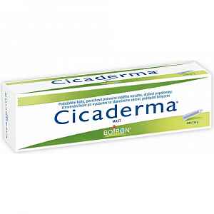 CICADERMA UNG 1X30GM