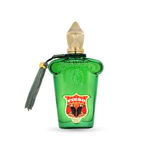 Xerjoff Casamorati 1888 Fiero parfémovaná voda pro muže 100 ml