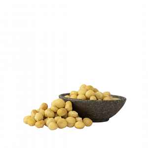 Lyopotraviny BIO makadamové ořechy RAW, 500 g