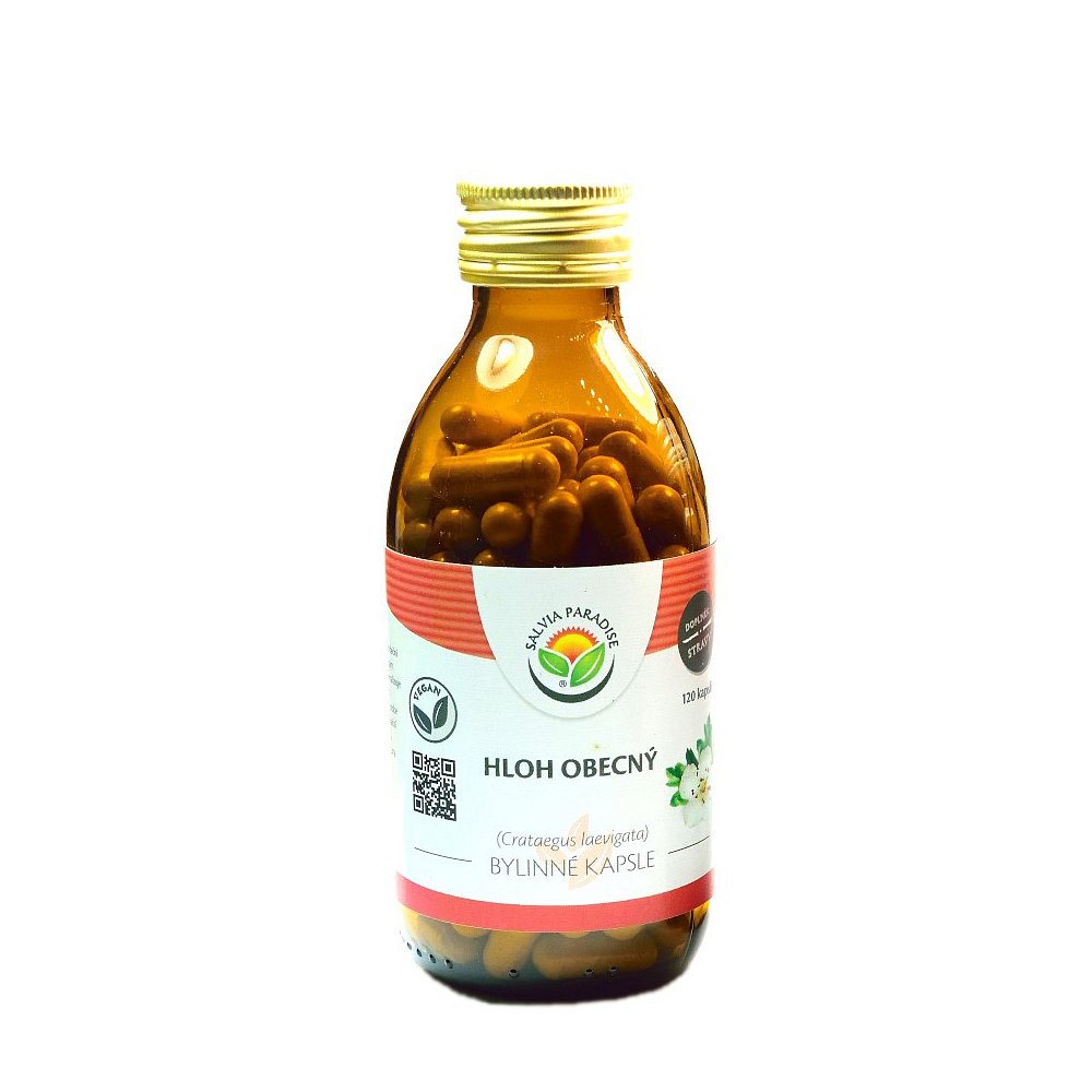 SALVIA PARADISE Hloh obecný kapsle 120 ks