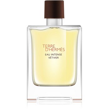 Hermès Terre d'Hermès Eau Intense Vétiver parfémovaná voda pro muže 100 ml