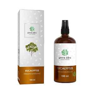 EUCALYPTUS – přírodní osvěžovač vzduchu 100 ml – Green idea