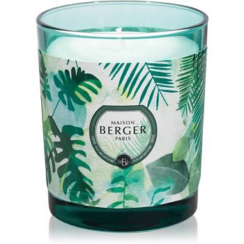 Maison Berger Paris Immersion Fresh Eucalyptus vonná svíčka 240 g