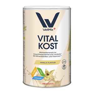 WellMix Směs k přípravě proteinového nápoje s příchutí vanilky 500 g